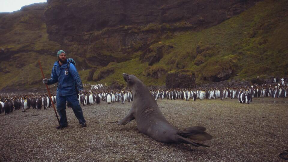 La rencontre de Christian avec un éléphant de mer! Christian meets an elephant seal!
