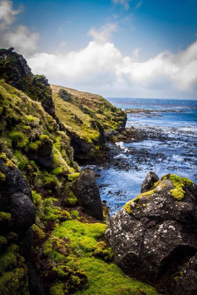 Roches volcaniques algues et verdure A scenary of volcanic rocks, algae and plants