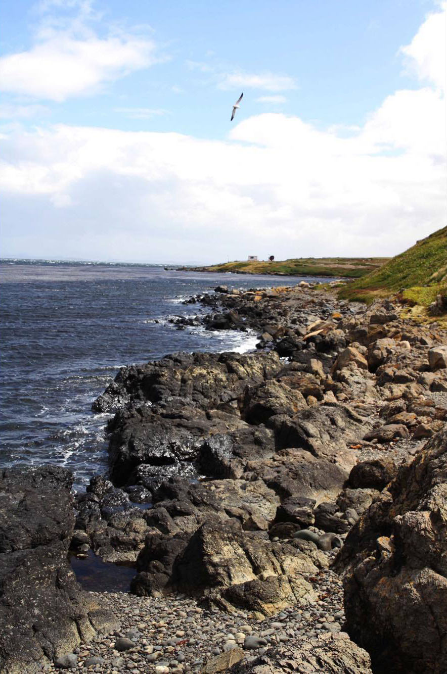 plage_kerguelen